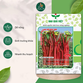 Hạt Giống Cải Ngồng Tím Siêu Ngọn (Gói 10g~2000 Hạt) Dễ Trồng, Chịu Lạnh Tốt