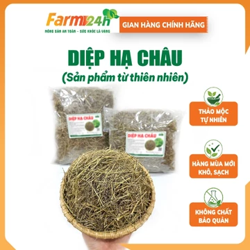 Diệp Hạ Châu (Cây Chó Đẻ răng cưa) khô sạch đẹp hàng loại 1 | Farm24h