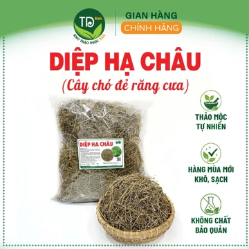 Diệp hạ châu (cây chó đẻ), hàng mùa vụ mới, khô, sạch, thơm, 01kg, hỗ trợ thanh nhiệt, lợi tiểu