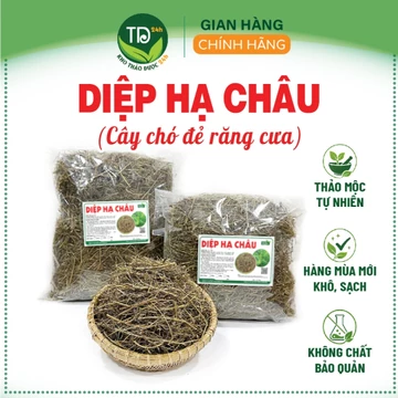 Diệp hạ châu (cây chó đẻ răng cưa), hàng mùa vụ mới, phơi sấy tự nhiên, 500 gr, hỗ trợ thanh nhiệt, lợi tiểu