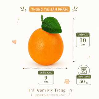 Trái Cam Mỹ Giả Cao Cấp Trang Trí | Trái Cây Giả Nhựa Foam Giống Thật Decor Quán Cà Phê Khách Sạn
