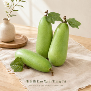 Trái Bí Đao Giả, Bí Xanh Giả Cao Cấp Trang Trí | Trái Cây Giả Nhựa Foam Giống Thật Decor Quán Cà Phê Khách Sạn