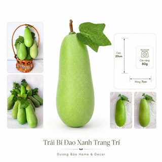 Trái Bí Đao Giả, Bí Xanh Giả Cao Cấp Trang Trí | Trái Cây Giả Nhựa Foam Giống Thật Decor Quán Cà Phê Khách Sạn