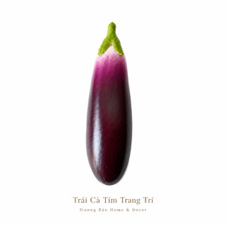 Trái Cà Tím Giả Cao Cấp Trang Trí | Trái Cây Giả Nhựa Foam Giống Thật Decor Quán Cà Phê Khách Sạn