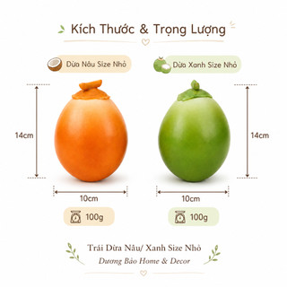 Trái Dừa Giả Size Nhỏ Cao Cấp Trang Trí | Trái Cây Giả Nhựa Foam Giống Thật Decor Quán Cà Phê Khách Sạn