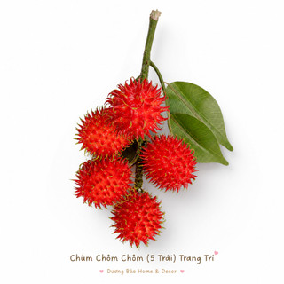 Chùm Chôm Chôm Giả Cao Cấp Trang Trí | Trái Cây Giả Nhựa Foam Giống Thật Decor Quán Cà Phê Khách Sạn