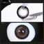 Lens mắt FC-388 Gray màu xám nâu, viền đen cafe bản to, size to - thương hiệu LUNA EYES
