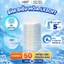 Bỉm Trần Dán LXSoft Hàn Quốc Siêu mỏng 1.9mm, thấm hút siêu nhanh, chống hăm cực tốt