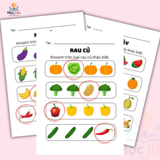Học Liệu Tư Duy Cho Bé – Tìm Hình Khác Biệt Nhiều Chủ Đề (A4/A5 Tờ Rời)