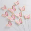 PHỤ KIỆN BÁNH_ SÉT BƯỚM 10 CON TRANG TRÍ BÁNH DUHA 069