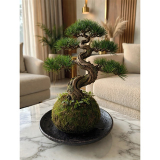 quả cầu rêu kokedama trồng thay chậu (hàng thủ công)
