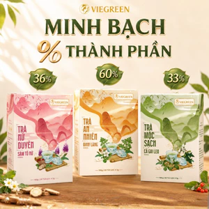 Combo 3 Trà Túi Lọc VIEGREEN Sâm Tố Nữ Đinh Lăng Cà Gai Leo Minh Bạch Thành Phần Không Đường