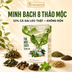 Trà Túi Lọc Cà Gai Leo Mộc Sạch VIEGREEN (Hộp 50 Túi) - Công Thức 8 Thảo Mộc, Vị Thanh Dễ Uống