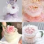 COMBO 10 VOAN QUẤN BÁNH sinh nhật, cuộn nơ voan lưới cuộn thành bánh kem DUHA 089