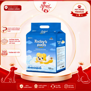 Miếng lót vệ sinh cho chó TODAY'S PADS 100 miếng 40cm x 50cm