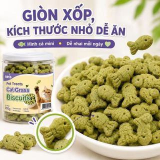 Bánh Quy Cỏ Mèo 600g Combo 3 Lọ x 200g, Snack Giòn Cho Mèo Hỗ Trợ Đào Thải Búi Lông, Thơm Miệng