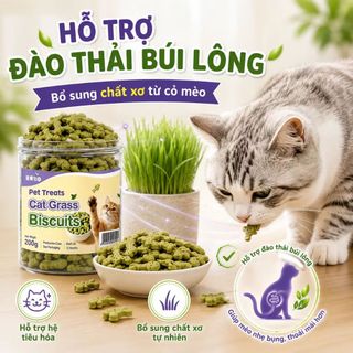 Bánh Quy Cỏ Mèo 600g Combo 3 Lọ x 200g, Snack Giòn Cho Mèo Hỗ Trợ Đào Thải Búi Lông, Thơm Miệng