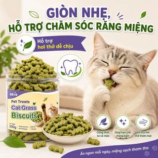 Bánh Quy Cỏ Mèo 600g Combo 3 Lọ x 200g, Snack Giòn Cho Mèo Hỗ Trợ Đào Thải Búi Lông, Thơm Miệng