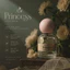 NƯỚC HOA PRlNCESS - HẤP DẪN TỪ LÀN DA THIẾU NỮ 1 CÁCH RẤT TRANG NHÃ ( Dòng đặc biệt sử dụng Cồn Sữa độc quyền)