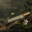 NƯỚC HOA WOOD & WHITE TEA (Unisex) - GỖ TRÀ TRẮNG THANH LỊCH QUYẾN RŨ