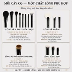 Bộ Cọ Trang Điểm WYNI 16 Cây Cao Cấp – Mỗi Cọ Một Chất Lông Chuyên Biệt, Mềm Mịn, Bám Phấn Tốt — ảnh 3