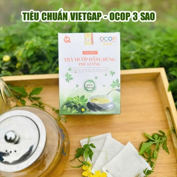 {Mua 2 tặng 1} Trà Khổ Qua Rừng Nguyên Chất, Trà Mướp Đắng Rừng Phú Lương Hộp 30 gói