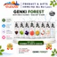Nước Soda trái cây Genki Forest Sparkling có ga không Calo lon 330ml