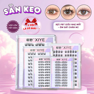 Mi giả sẵn keo HỘP LỚN siêu tiết kiệm, sợi mi mỏng nhẹ không cộm mắt