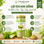 Bột Cần Tây Giảm Cân Nguyên Chất 100% Detox Thanh Lọc Cơ Thể, Đẹp Da {TẶNG KÈM thìa + lọ uống}