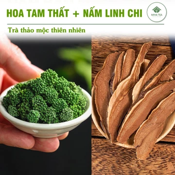 Trà nụ hoa tam thất và nấm linh chi, nguyên liệu pha trà cải thiện chất lượng giấc ngủ, dưỡng nhan