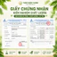 Bột Cần Tây Giảm Cân Nguyên Chất 100% Detox Thanh Lọc Cơ Thể, Đẹp Da {TẶNG KÈM thìa + lọ uống}