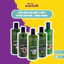 Sữa Tắm Cho Chó Mèo Olive Essence Chai 450ml Phù Hợp Cho Từng Loại Lông
