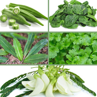 Hạt Giống Rau Củ Quả - Rau Ăn Lá Phương Nam( Gói Lớn ) - 1 kg ( 1 Cân)