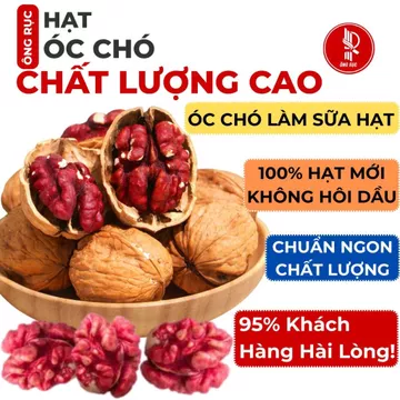 Hạt Óc Chó Làm Sữa Hạt BÉO BÙI THƠM NGẬY | HẠT MỚI TUYỂN CHỌN | LOẠI TO - KHÔNG HÔI DẦU | Nhân Óc Chó Đỏ Tách Vỏ