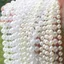 100g dây chuỗi hạt ngọc trai dành cho trang trí & phụ kiện chụp ảnh, chất liệu nhựa sáng bóng DUHA 154