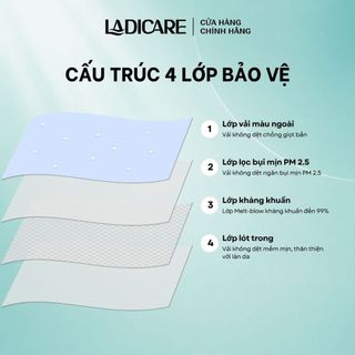 Khẩu trang 5D LADICARE [Thùng 100 Cái] kháng khuẩn 4 lớp dày dặn, ngăn ngừa bụi mịn và vi khuẩn, quai đeo mềm mại