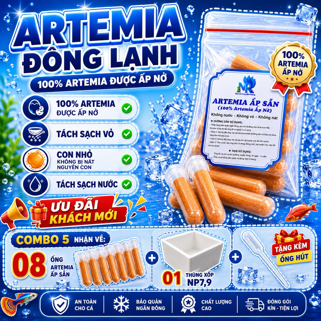 Artemia đông lạnh dùng cho Molly và cá bột