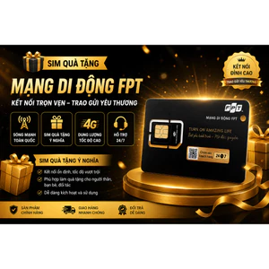 <Sim tặng kèm> Kèm Sim FPT FD300 1T
