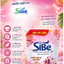 mua 9.6lít tặng 1.8lít Nước giặt SiBE 6in1 hoa cỏ hàng công ty giấy tờ đầy đủ