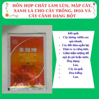 Chất làm lùn, mập cây, xanh lá cho cây trồng, hoa  mười giờ và cây cảnh