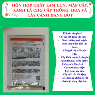Chất làm lùn, mập cây, xanh lá cho cây trồng, hoa  mười giờ và cây cảnh