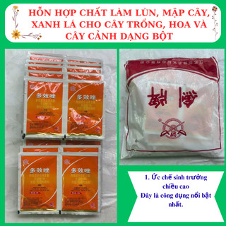 Chất làm lùn, mập cây, xanh lá cho cây trồng, hoa  mười giờ và cây cảnh