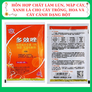 Chất làm lùn, mập cây, xanh lá cho cây trồng, hoa  mười giờ và cây cảnh