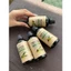 Dầu Neem Nguyên Chất 100% Cho Cây Trồng Dung Tích 100ml, 1 lít - Phòng Trừ Sâu Bệnh, Rệp Nhện Đỏ, Nấm Cho Cây