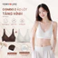 COMBO 2 Áo Lót Nữ Không Gọng TOKYOLIFE Đệm 1.5cm Thoáng Khí Nâng Ngực Nhẹ Phối Ren 40006070