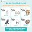 Xịt Khử Khuẩn Baby Fresh Joona Baby Cho Bé - Chai Nhỏ Gọn Tiện Lợi Đi Học, Đi Chơi, Du Lịch