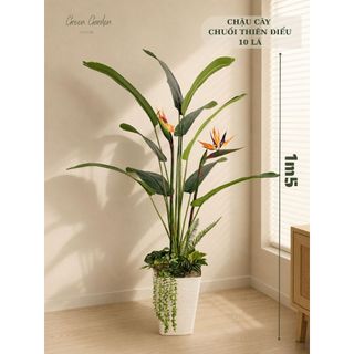 Cây giả , Chậu Cây Chuối Thiên Điểu 24 Lá Cao 1m3 | Cây Giả Trang Trí Decor Phòng Khách, Văn Phòng, Nhà Hàng