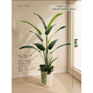 Cây giả , Chậu Cây Chuối Thiên Điểu 24 Lá Cao 1m3 | Cây Giả Trang Trí Decor Phòng Khách, Văn Phòng, Nhà Hàng
