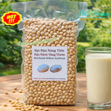 Đậu nành vàng thơm hữu cơ thuần chủng NON GMO hạt to nhỏ ủ nảy mầm giá đỗ, sữa, lên men natto giảm cân