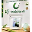 Bột trà xanh Matcha nguyên chất Latte Grade 100g - tặng 1 gói 10g